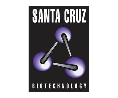 美国圣克鲁斯Santa Cruz