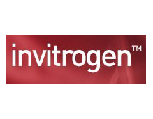 美国Invitrogen