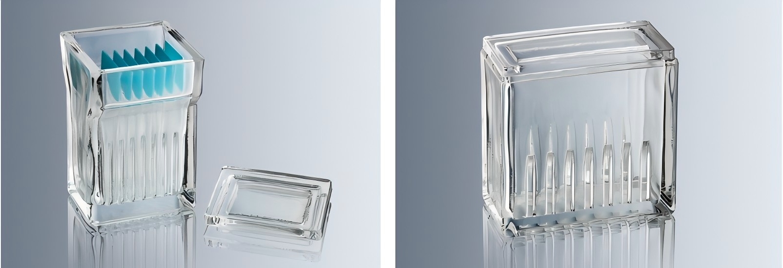 Marienfeld玻璃染色缸Staining jars acc. to Hellendahl Marienfeld玻璃染色缸Staining jars acc. to Hellendahl